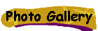 Photo Gallery